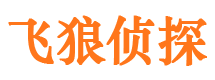 桦川捉小三公司